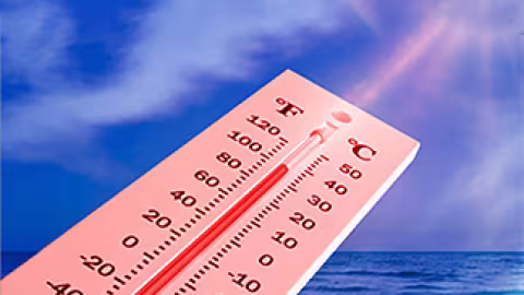 Blanchissement des coraux : Eco Sud tire la sonnette d’alarme après un pic de 31°C dans nos eaux en janvier