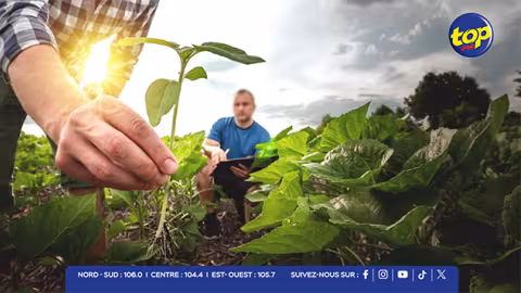 Budget 2025/2026 - Sécurité alimentaire : cap sur une agriculture du futur pour nourrir Maurice autrement