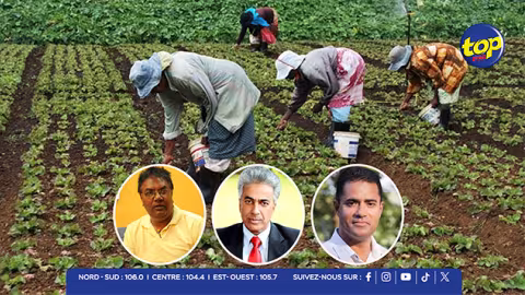 AGRICOLE