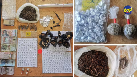 A Rivière Noire toujours : De la drogue valant plus de Rs 2 M saisie au domicile d’une femme employée pour entretenir un jardin