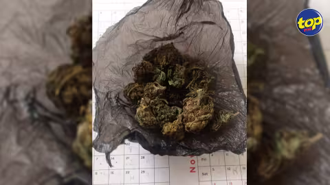 À Vacoas : un homme de 30 ans arrêté pour avoir vendu du cannabis à un officier de l’ADSU