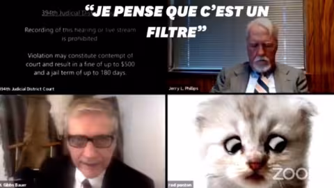Plusieurs pays interdisent le chat que tout le monde veut : le Savannah