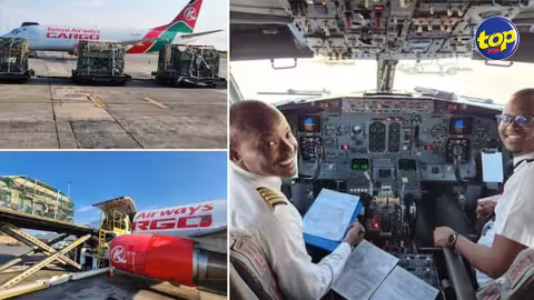 Insolite : Kenya Airways transporte 300 chèvres et moutons de l’Afrique du Sud à Maurice