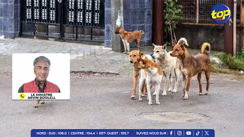 Chiens errants : Le ministre Boolell annonce le recrutement des vétérinaires de l’Inde ou de Madagascar et le renforcement de la MSAW
