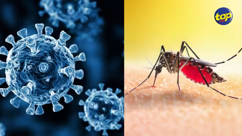 Covid-19 et Dengue: 18 et 5 cas actifs respectivement dans le pays
