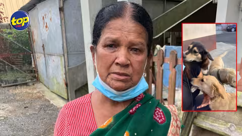 Cri du cœur de Radhika à ceux qui ont enlevé deux chiens à Curepipe : « Retourne zot…Ça banne toutous la li plus ki mo zenfant,mo aster manger ek mo cass pension mo soigne zot », pleure cette mère-protectrice