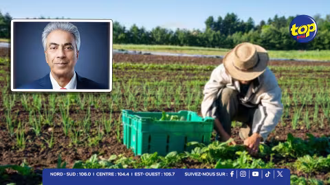Agriculture : le projet Crop Watch pour une agriculture durable devient une réalité à Maurice