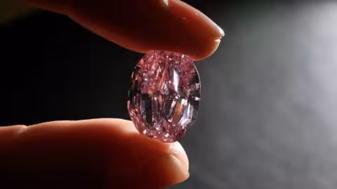 Un diamant rose de 11,5 carats vendu pour un prix record mondial aux enchères – 57,7 millions de dollars