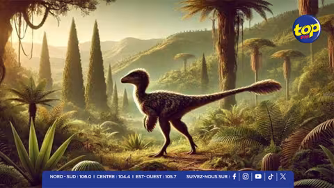 Niger : découverte d’un nouveau dinosaure géant vieux de 95 millions d’années