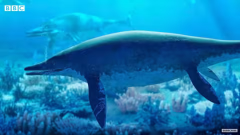Un fossile géant de “dragon de mer” d’il y a 180 millions d’années découvert au Royaume-Uni