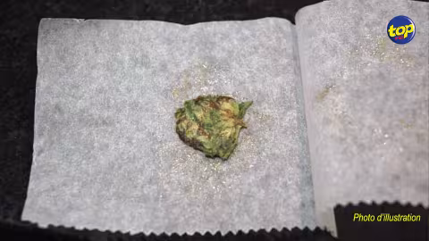 Dans le Nord : Du cannabis saisi sur des élèves d’un collège d’État