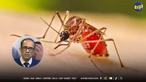 Chikungunya : Hausse alarmante des cas et premier nouveau-né contaminé, la vigilance de mise