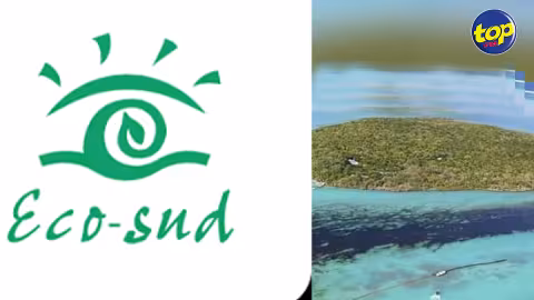 Nettoyage du lagon : Eco-Sud  lance un appel aux volontaires