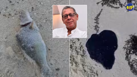 Traces d’huile et poissons morts découverts sur la plage de Pointe d’Esny : ” Fort probable que le carburant provienne de la salle des machines du Wakashio qui se trouve toujours sous l’eau” avance Alain Malherbe