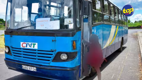 Zones rouges : Uniquement les examination buses autorisés à s’arrêter sur les arrêts d’autobus