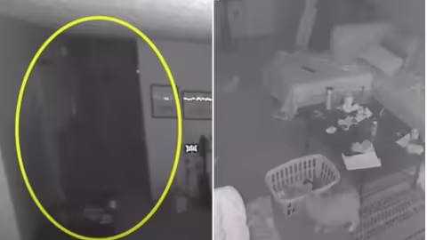 Filmé par une caméra de surveillance, un «fantôme» effraie des chats