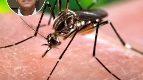 Chikungunya : Cinq cas enregistrés en une semaine