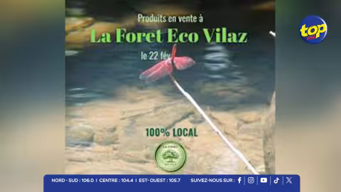 Forêt Eco Vilaz