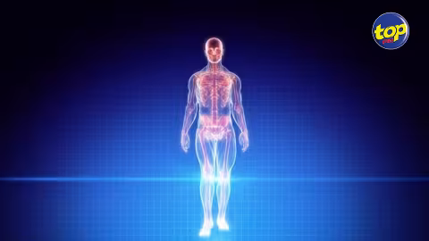 La prison centrale de Beau Bassin doté d’un full x-ray body scanner