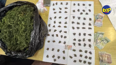 À Glen Park, Vacoas : un homme de 48 ans arrêté pour trafic de cannabis