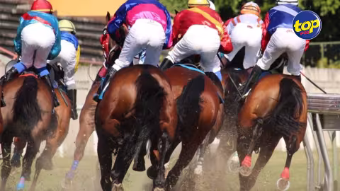 Hippisme : La MTC Jockey Club est en lice pour 2024 pendant que PTP intensifie les préparatifs à Petit-Gamin