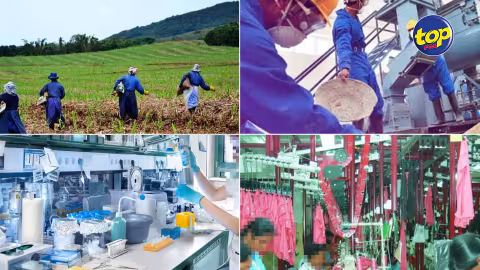 La section coopérative au sein du ministère de l’Industrie sera réactualisée
