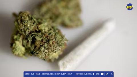 À Grand-Gaube : Une poissonnière arrêtée pour possession de cannabis et de ‘ti papier’