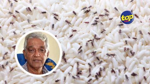 Riz ration infesté de charançons : « Qui va assumer le coût de ces pertes, les consommateurs ? » s’interroge Jayen Chellum