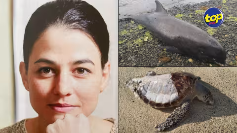 Mammifères marins en danger dans le Sud-est du pays: ‘Leker casser, dans place zot repare zot erreur, zot p ale fer meeting dans PMO’, s’insurge Joanna Bérenger