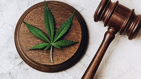 Kolektif 420 : une marche en faveur de la légalisation du cannabis