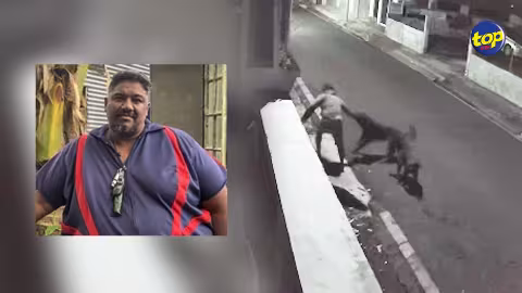 Agression d’un comptable : l’ONG quatre Tilapat demande aux autorités de ne pas euthanasier les deux Rottweilers