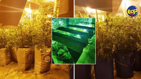 À Pereybère: Rs 19 millions de cannabis saisi chez un dénommé Tameswar Luchmun-Roy