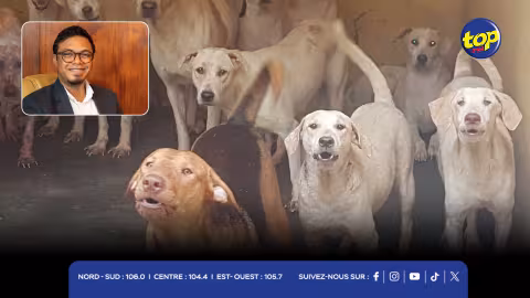 Trois employés de la MSAW trouvés coupables de la mort de 808 chiens : « Depuis 2021, nous n’avons enregistré aucune plainte pour maltraitance », affirme Julien George, directeur de l’organisme