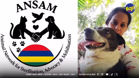 sponsabiliser dès le plus jeune âge : ANSAM veut inscrire le bien-être animal dans les manuels scolaires mauriciens
