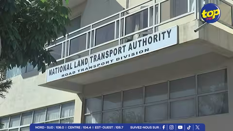 NLTA