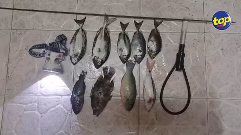 A Riambel : Soupçonné de pratiquer la pêche sous-marine,  un homme arrêté pour pêche illégal