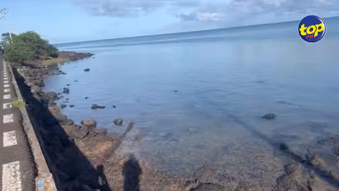 Meurtre de Christine Begué : la jambe droite de la jeune fille retrouvée ce matin 