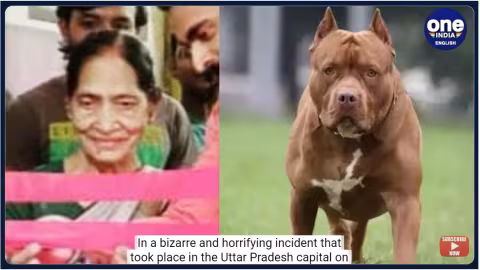 Une femme de 82 ans mutilée à mort par son pitbull à Lucknow