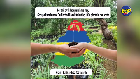 À l’occasion de la fête nationale : Le Groupe Renaissance du Nord procède à une distribution de plantes médicinales demain…