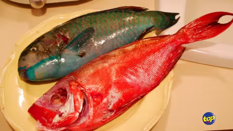 Consommation : Le poisson-beurre retiré de la liste des espèces contrôlées