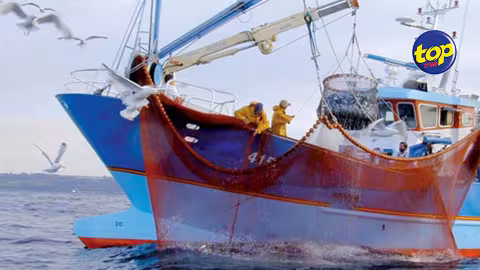 Pêche hauturière : Les Seychelles poussent la Commission des thons de l’océan Indien à plus de transparence