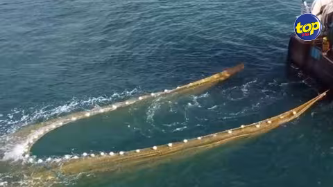 Pêche illégale à Pointe-aux-Sables : 2 personnes arrêtées 