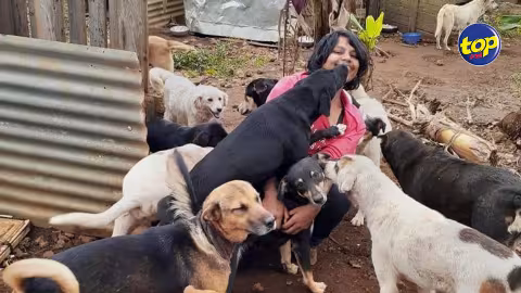 Restes humains découverts dans une maison à Plaine Magnien :la secouriste Preety Saachi exprime son intention d’adopter les chiens retrouvés sur place