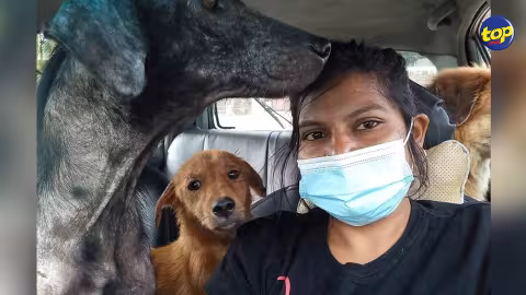 Vidéo montrant le cheval Special Force être malmené : ‘‘Ena beaucoup zafer ki dérouler avant ek après ene lecourse ,ki nou pas au courant,’’ , s’insurge  Pretty Saachi ,  qui préconise des sanctions contre le handler