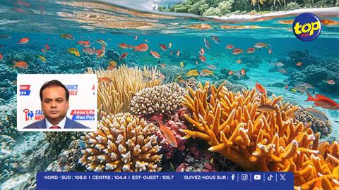 Atelier Biodiversity Beyond National Jurisdiction : Maurice s’engage pour la biodiversité des oceans