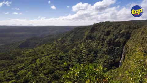 Grosses averses dans l’Ouest : 11 touristes piégés dans leurs voitures au Parc national de Rivière-Noire