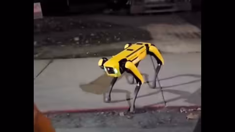 Le monde de demain : deux chiens robots en patrouille au Canada