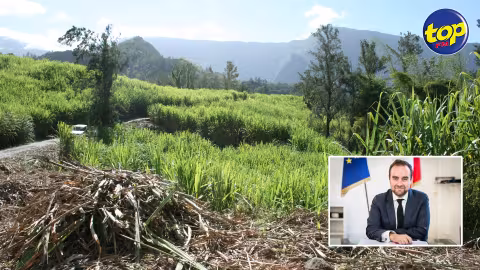 Visite de Sébastien Lecornu à la Réunion : Les planteurs de cannes mettent la pression