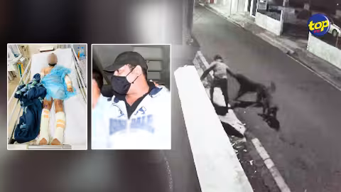 Un comptable attaqué par deux Rottweilers en septembre dernier : quatre mois après, l’un des molosses capturé à Dilo Pouri… le propriétaire appelé à l’identifier