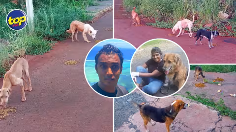 Animaux affamés à travers le pays en cette période de confinement : Sameer Golam demande à la population et aux autorités policières de faire preuve d’humanisme